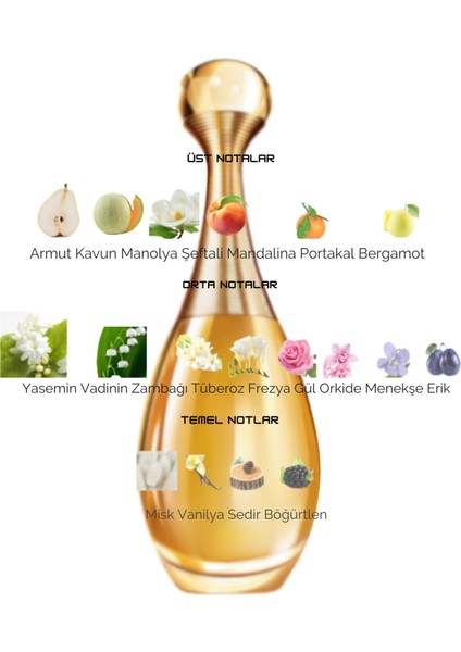 Dekant Mutfağı J'adore KADIN10ML Parfüm fiyatları