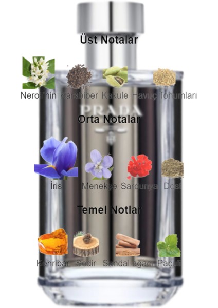 Dekant Mutfağı Prd L'homme Erkek 10ML Parfüm fiyatları