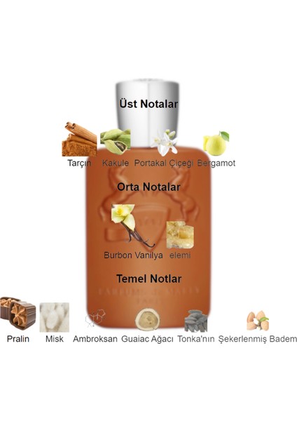 Dekant Mutfağı Althair Erkek 10ML Parfüm fiyatları