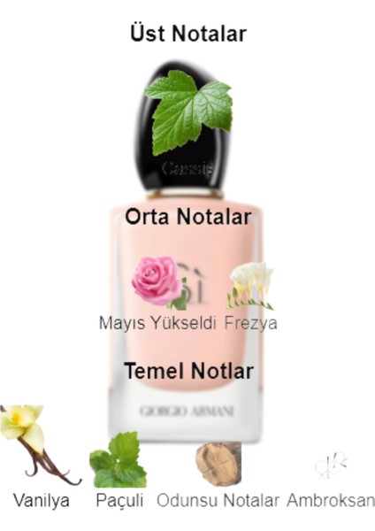 Dekant Mutfağı Si Kadın 10ML Parfüm fiyatları