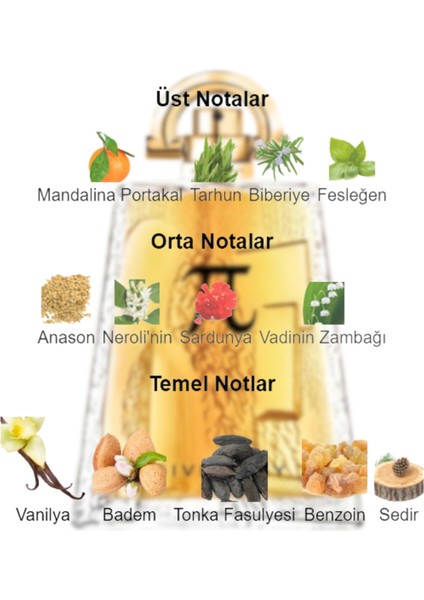 Dekant Mutfağı Pi Erkek 10ML Parfüm fiyatları