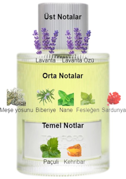 Dekant Mutfağı Beau De Jour Erkek 10ML Parfüm fiyatları