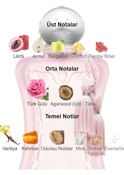 Dekant Mutfağı Delina Exclusif Kadın 10ML Parfüm fiyatları