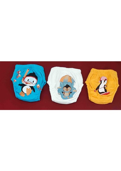 Erkek Çocuk Alıştırma Külot %100 Pamuk Paket Içeriği 3 Adet
