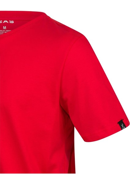 Alex Baskılı Erkek Sıfır Yaka T-Shirt modelleri