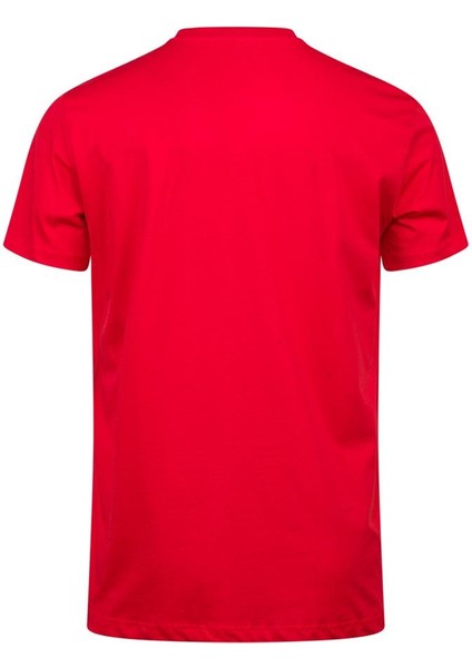 Alex Baskılı Erkek Sıfır Yaka T-Shirt fırsatları