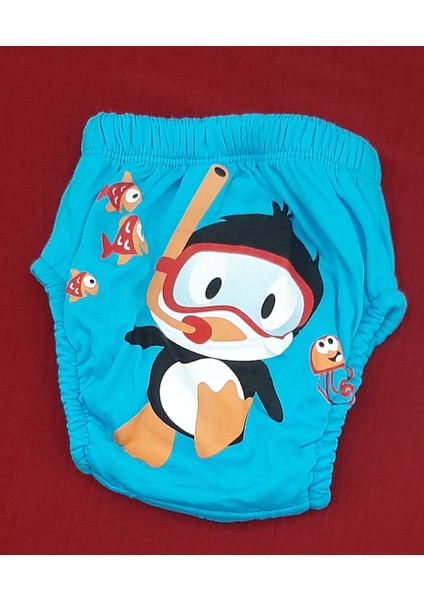 Erkek Çocuk Alıştırma Külot %100 Pamuk Paket Içeriği 3 Adet indirimleri