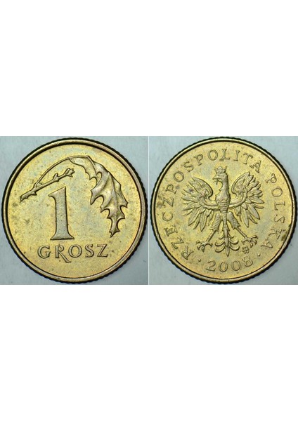 Polonya 1 Grosz 2008.