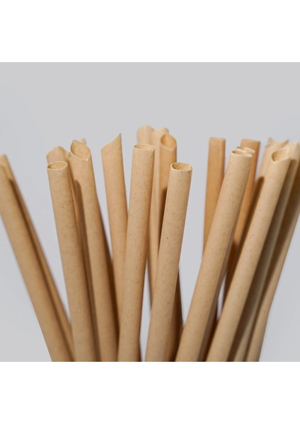 Şeker Kamışı Pipet