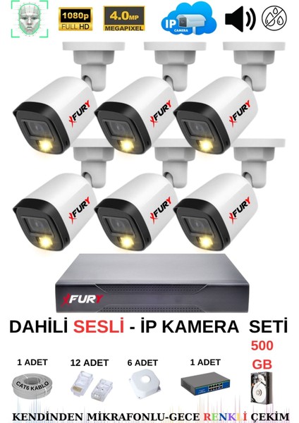 Ip Güvenlik Kamera Seti 6 Kameralı Sesli 4mp Gece Renkli Su Geçirmez IP5515S 500GB