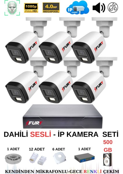 Ip Güvenlik Kamera Seti 6 Kameralı Sesli 4mp Gece Renkli Su Geçirmez IP5515S 500GB