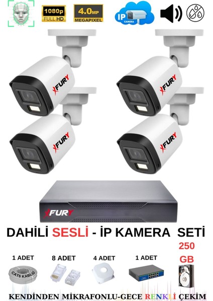 Ip Güvenlik Kamera Seti 4 Kameralı Sesli 4mp Gece Renkli Su Geçirmez IP5515S 250GB
