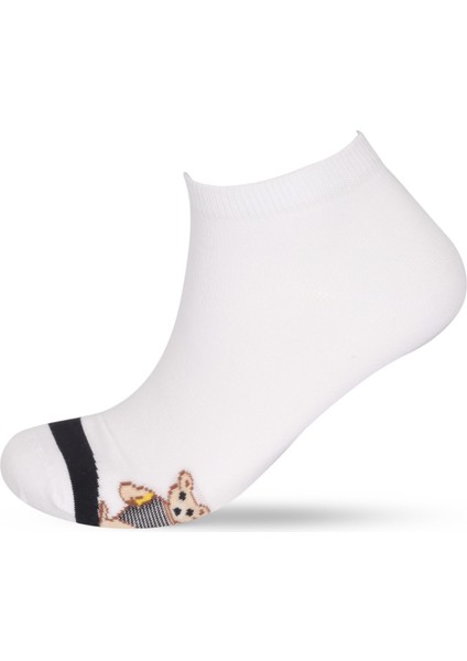 5'li Ayı Teddy Baskılı Patik Çorap modelleri
