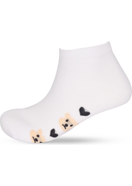 5'li Ayı Teddy Baskılı Patik Çorap indirimleri