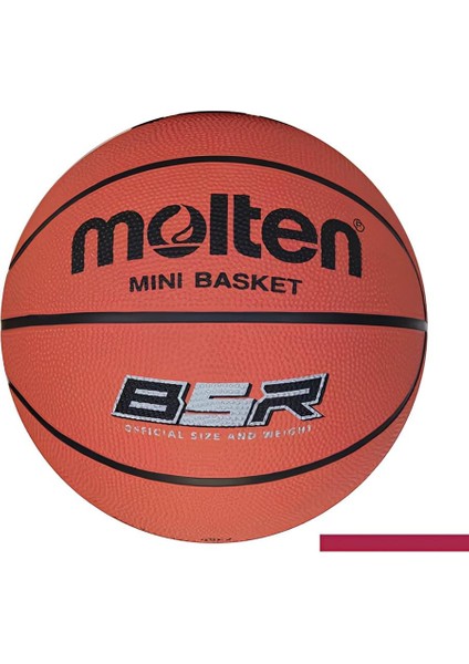 B5R2 Molten Basket Topu