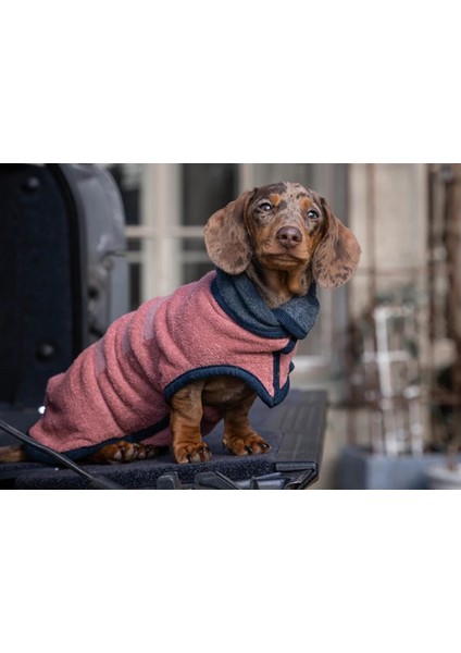 Köpek Bornozu Limited Edition Dusk/ocean