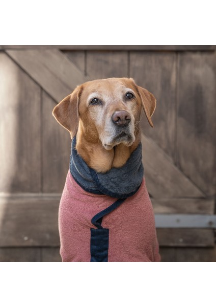 Köpek Bornozu Limited Edition Dusk/ocean modelleri