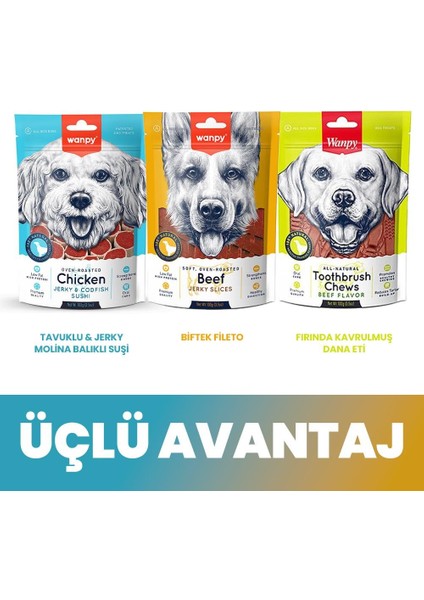 Köpek Ödül Maması 3lü Mix Paket (Suşi-Fileto-Dana Eti)