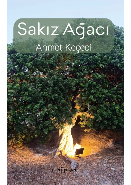 Sakız Ağacı