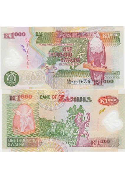Zambiya 1000 Kwacha 2008 Polimer Para. Çil Kondisyon