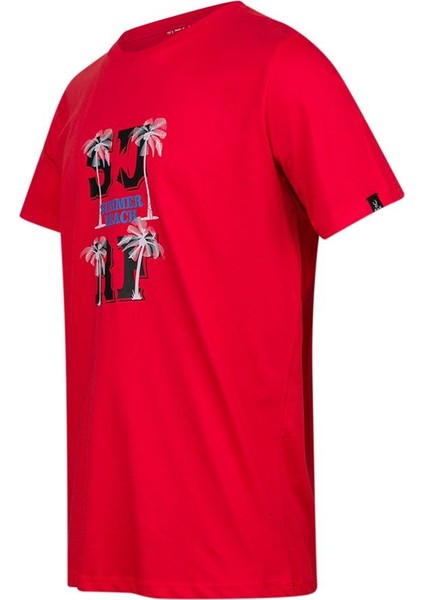 Alex Baskılı Erkek Sıfır Yaka T-Shirt 047 fiyatları