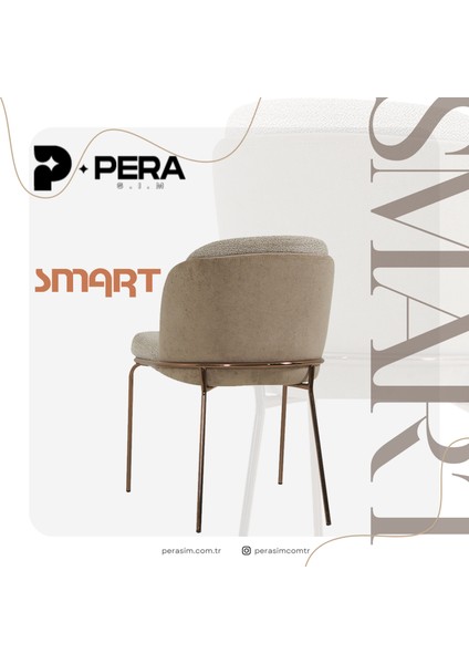 Smart Sandalye (4 Adet)