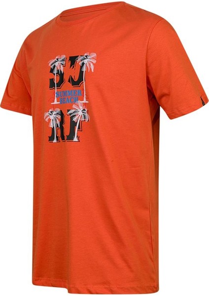 Alex Baskılı Erkek Sıfır Yaka T-Shirt 047 fiyatları