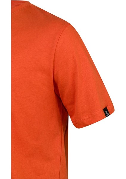 Alex Baskılı Erkek Sıfır Yaka T-Shirt 047 modelleri