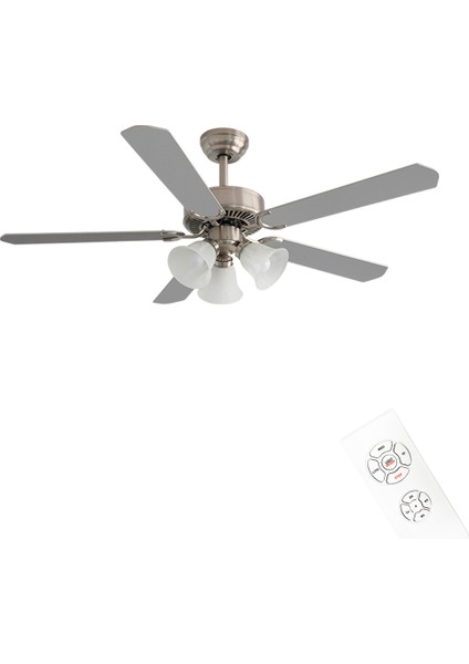 Dlc Brısote Mat Krom Tavan Vantilatörü 132 cm fiyatları