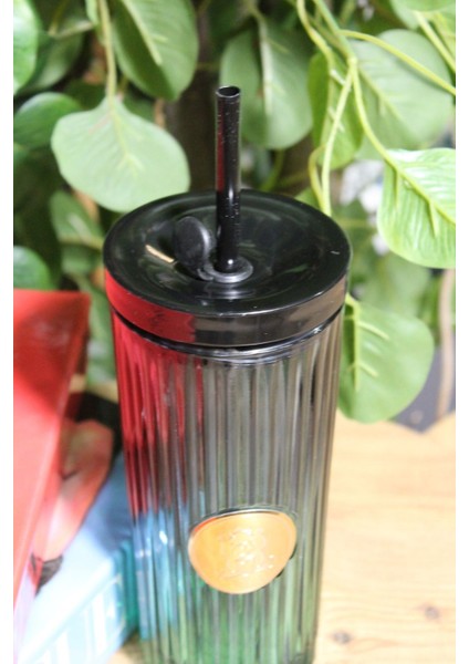 Pipetli Cam Bardak Tekli Pinterest Model Yeşil 450 ml indirimleri