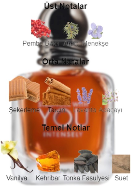 Dekant Mutfağı Stronger Wıth You Intensely Erkek 10ML Parfüm fiyatları