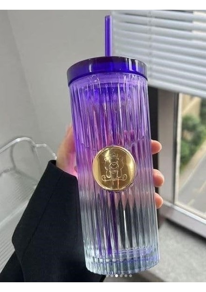 Pipetli Cam Bardak Tekli Pinterest Model Mor 450 ml