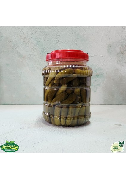 Kornişon Turşu 1 kg