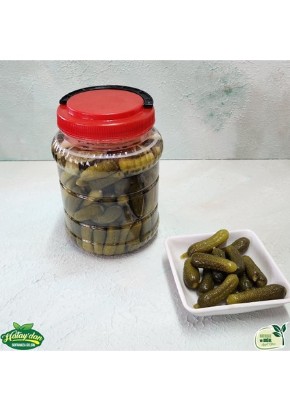 Kornişon Turşu 1 kg fiyatları