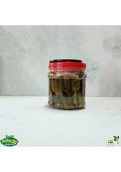 Kornişon Turşu 500 gr