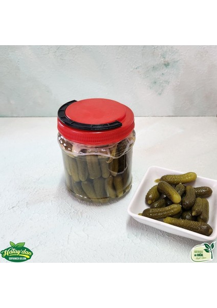 Kornişon Turşu 500 gr fiyatları