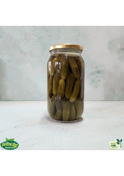 Kornişon Turşu 600 gr