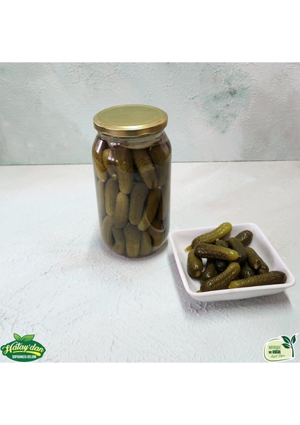 Kornişon Turşu 600 gr fiyatları