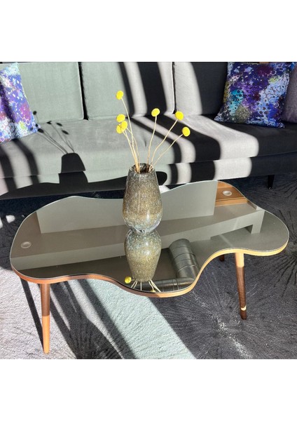 Aynalı Ahşap Ceviz Orta Sehpa Doğal Ağaç Ayaklı Modern Cam Tablalı Orta Sehpa fiyatları