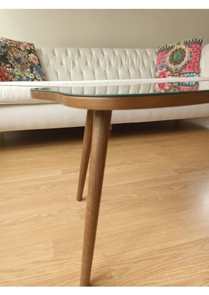 Aynalı Ahşap Ceviz Orta Sehpa Doğal Ağaç Ayaklı Modern Cam Tablalı Orta Sehpa