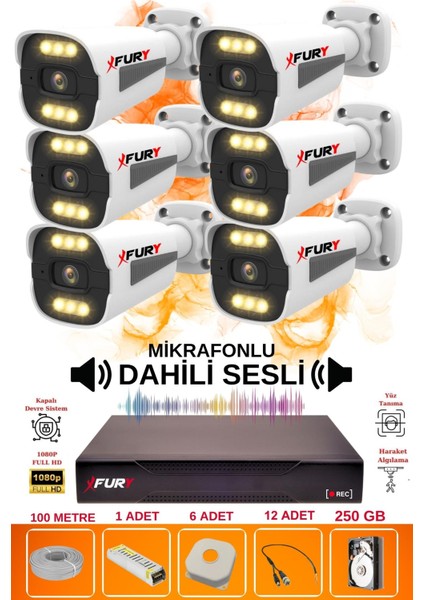 6 Lı Sesli 6 Warm LED Gece Renkli Görüş Su Geçirmez Güvenlik Kamerası Seti 250GB