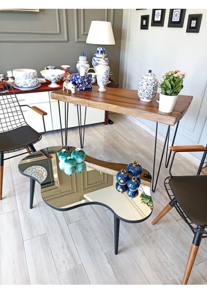 Aynalı Ahşap Siyah Orta Sehpa Doğal Ağaç Ayaklı Modern Cam Tablalı Orta Sehpa