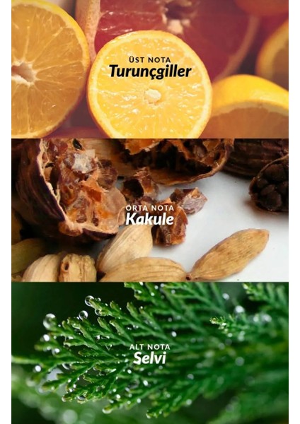 Full Speed Erkek Parfüm Yeni Seri Edt 30 ml