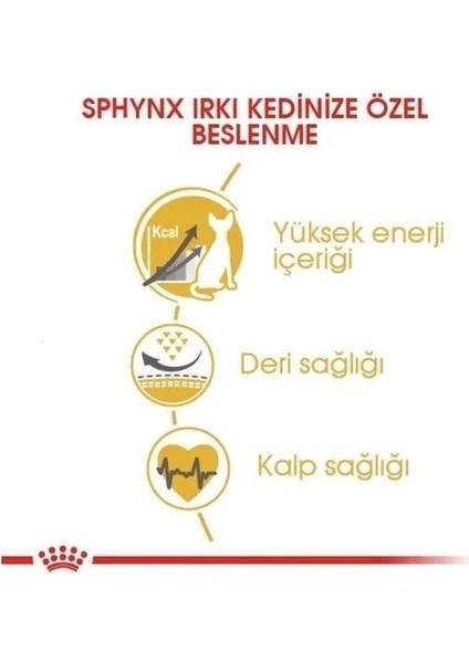 Royal Canin Tüysüz Sphynx Cinsi Yetişkin Kedi Maması 2 kg fiyatları