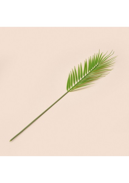 Areka Dal Çiçek - Yeşil - 50 cm fiyatları