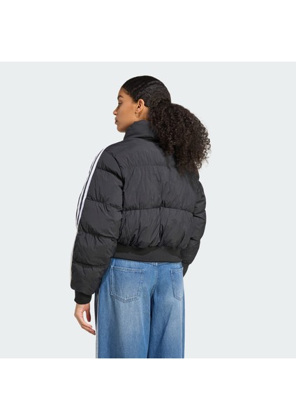 Originals JX2970 Adicolor Cropped Synthetic Down Puffer fiyatları