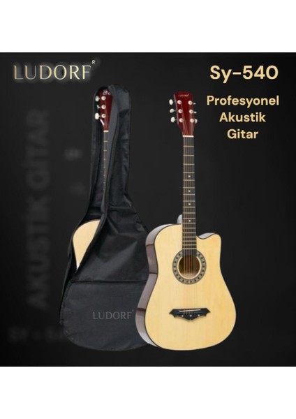 Sy 540 Akustik Gitar Profesyonel Gitar Tüm Aksesuarları HEDİYE fiyatları
