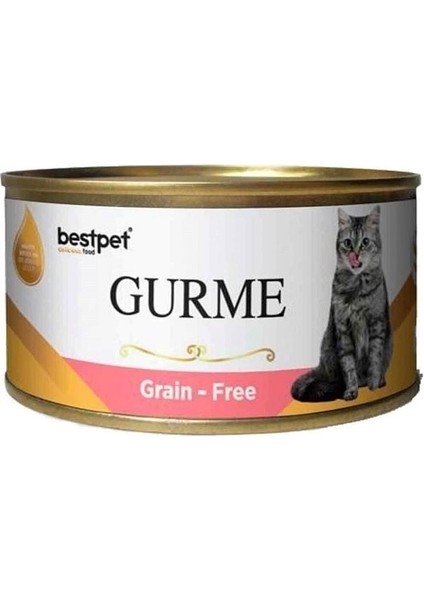 Best Pet Gurme Jöleli Somonlu Kısırlaştırılmış Konserve Kedi Maması 100 gr