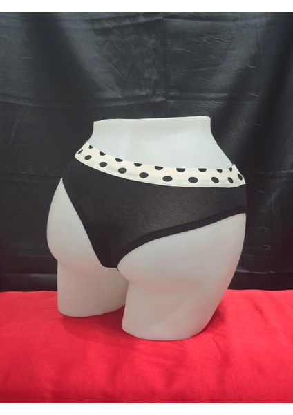 Bikini Model 2 Li Külot Paketi