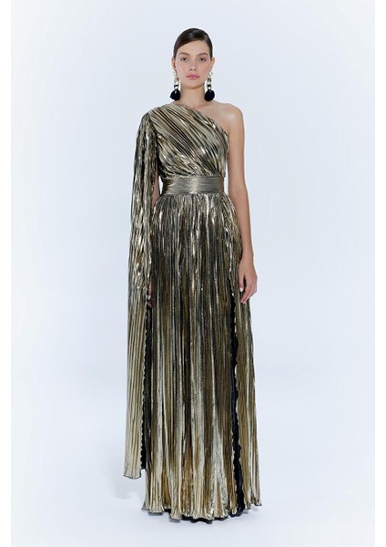 Baglioni Gown Elbise